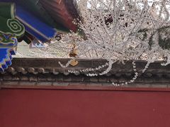 -西安市广仁寺