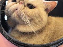 -北京赛佳动物医院