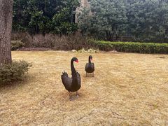 -上海虹桥迎宾馆