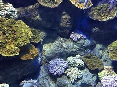 -福州罗源湾海洋世界旅游区