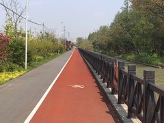 -上海长兴岛郊野公园