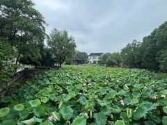 -丝绸小镇荻港古村