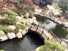 iphone_upload_pic-中国唐苑