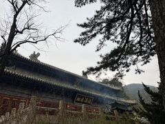 -潭柘寺景区