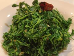 拌枸杞芽-金鼎轩(亚运村店)