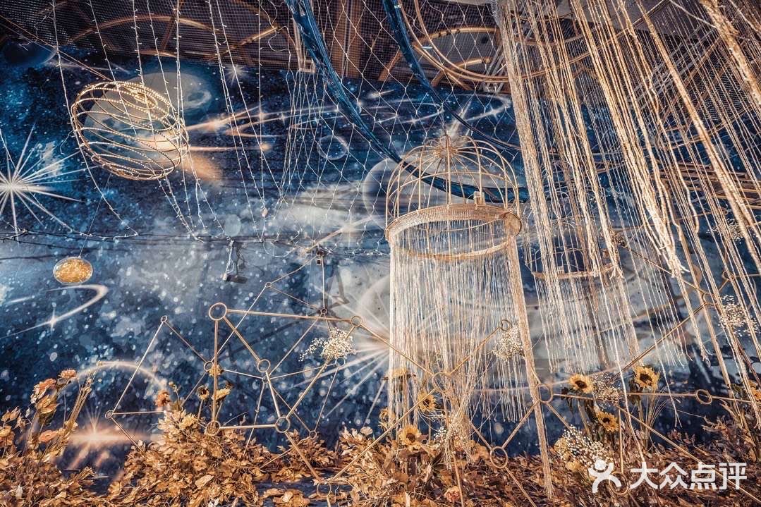 星空遇上向日葵