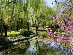 -杭州城北体育公园