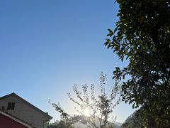 -耶里夏丽·丝路新疆菜·清真食品(徐汇南丹东路臻选店)