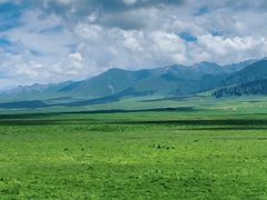 -新疆那拉提国家旅游度假区
