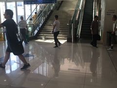 -上海交通大学医学院附属瑞金医院(总院)
