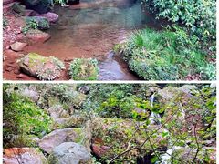 -赤水丹霞旅游区·佛光岩