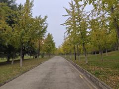 -黄河小浪底水利枢纽风景区