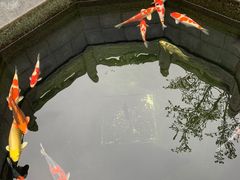 -西安市广仁寺