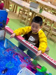 -萌宠家互动乐园