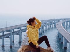 -星海湾跨海大桥