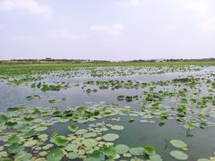 -天津东丽湖风景区