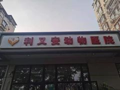 -利又安动物医院··老年病·猫科犬科·中兽医