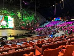 -广州长隆国际大马戏