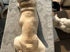 -平行世界·猫咖(首经贸店)