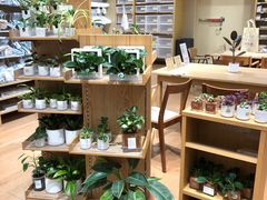 -MUJI无印良品(环球港店)
