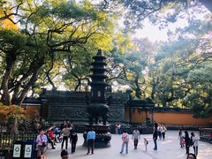 -普陀山风景名胜区-法雨禅寺