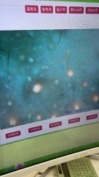 -凡碧诗毛孔清洁收细