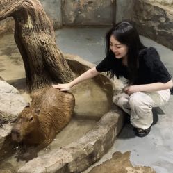 -Zoolung Zoolung动物主题公园(海信广场店)