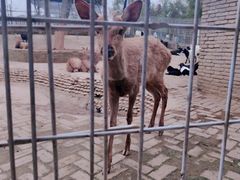 -武汉紫薇都市田园