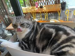 -咖法森林·咖啡  酒吧(天河店)