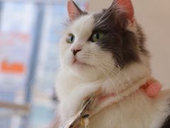 -怪兽屋·羊驼·猫咖·狗咖(俊华广场店)