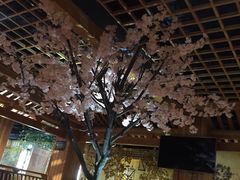 -添赐温泉馆(上南路店)