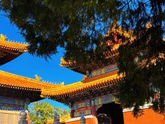 -历代帝王庙博物馆