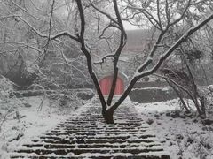 -惠山国家森林公园