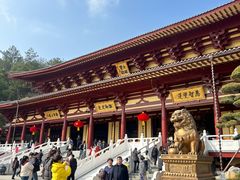 -庐山风景名胜区-东林大佛