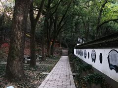 -上海佘山国家森林公园天马山园