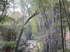 -成都杜甫草堂博物馆