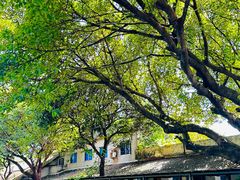 -喜洲吧·江畔老船厂·庭院餐厅(喜临院店)