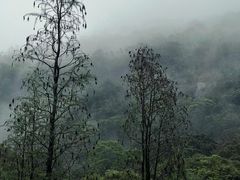 -广州市石门国家森林公园