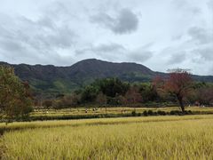 -塔川景区