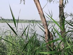-绿堤公园