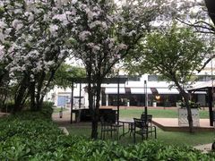 -天津燕园国际大酒店