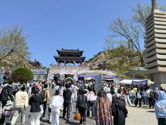 -西霞口神雕山野生动物世界