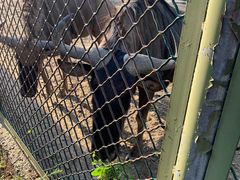 -宿豫区运河湾森林动物园