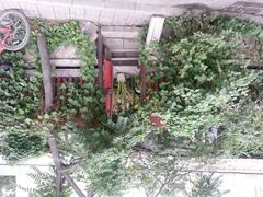 -斯多格书乡(北京大学畅春园店)