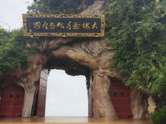 -大槐树寻根祭祖园