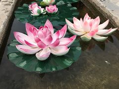 -茯茶镇