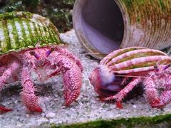 -多彩贵州城极地海洋世界