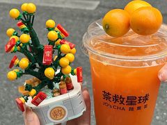 -茶救星球·蔬果茶(北京路旗舰店)