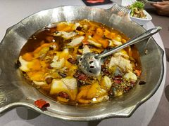 -沸腾鱼乡(知春路分店)