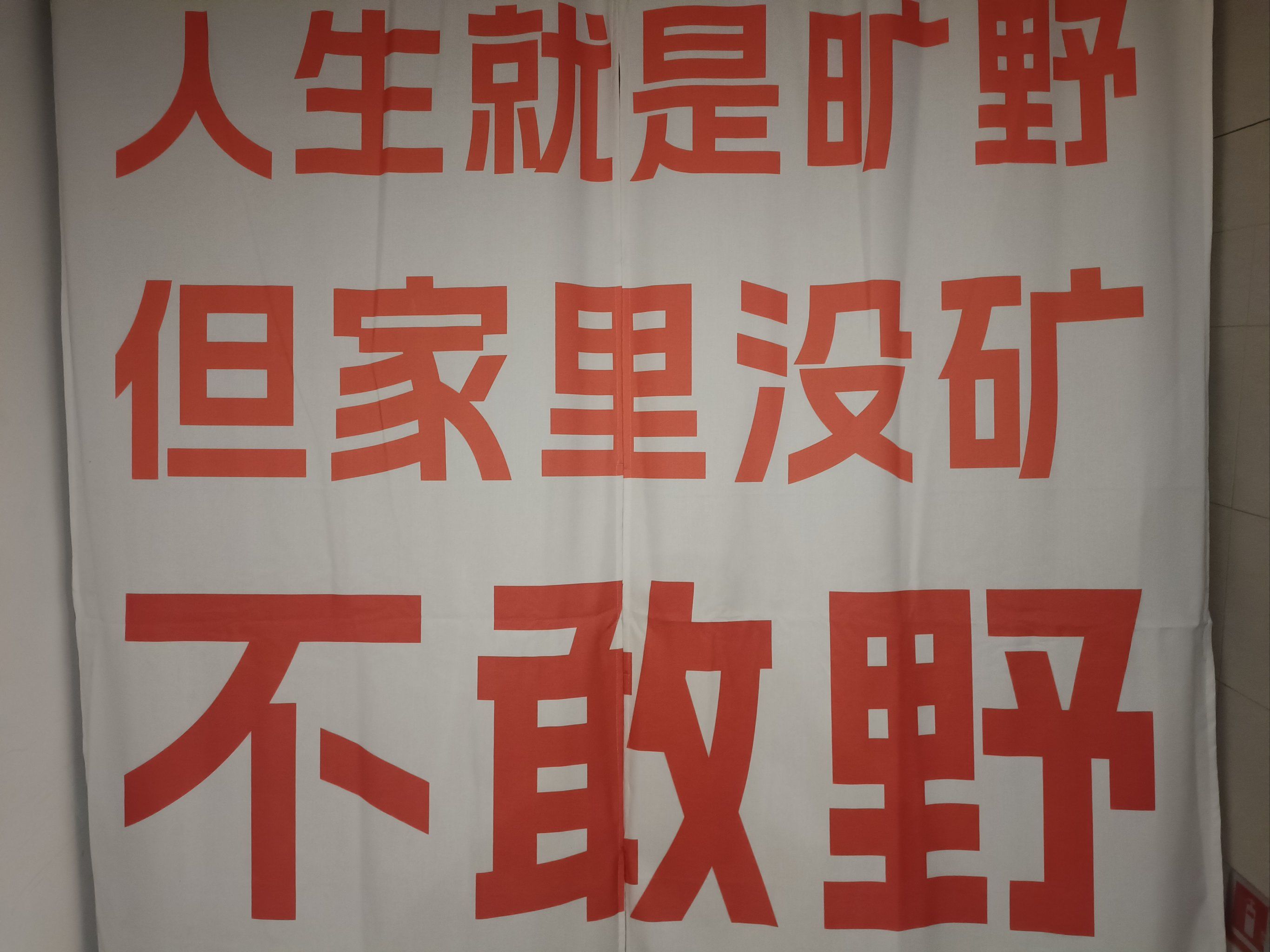 人生就是旷野,但家里没矿,不敢野.